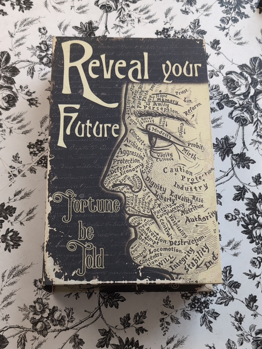 Reveal Your Future - Hidden Storage Book
